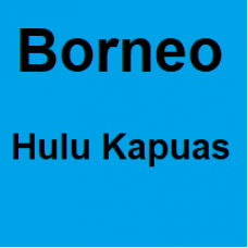 Borneo Hulu Kapuas - 1 Kilo - Starting at € 45,- per kilo